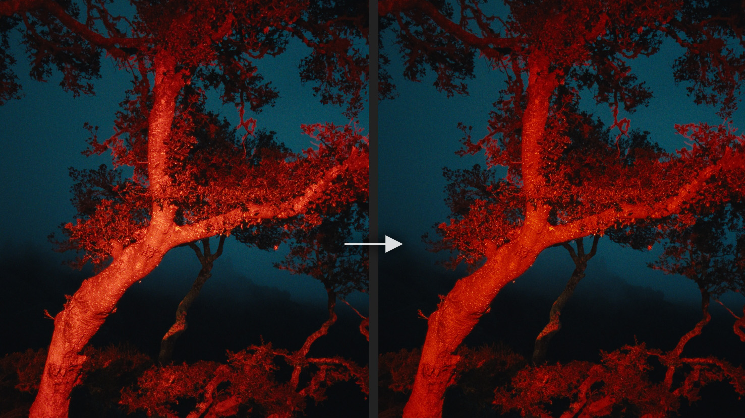 Side-by-side Hi-Sat Density comparison of a red-lit tree, showing richer saturated reds on the right