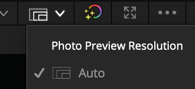 Photo Preview Resolution dropdown set to Auto