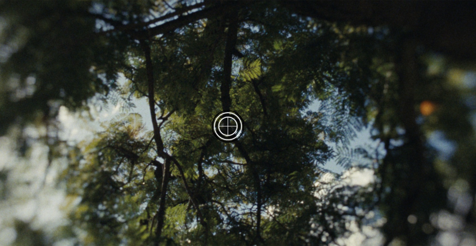 A forest canopy shot with the LensNode Lens Whack overlay shown as a small black and white target, marking the center point of the lens effects, which can be dragged to reposition them
